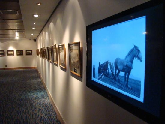 Exposición "Punta Arenas en un click: 50 años de imágenes únicas"