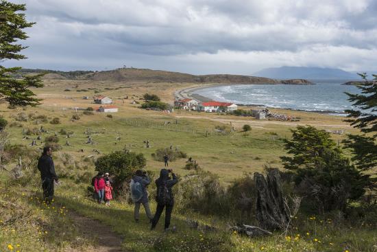 Panorámica de Puerto Yartou en la que se ven a los artistas de la residencia